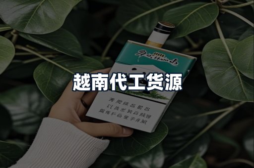 越南代工货源